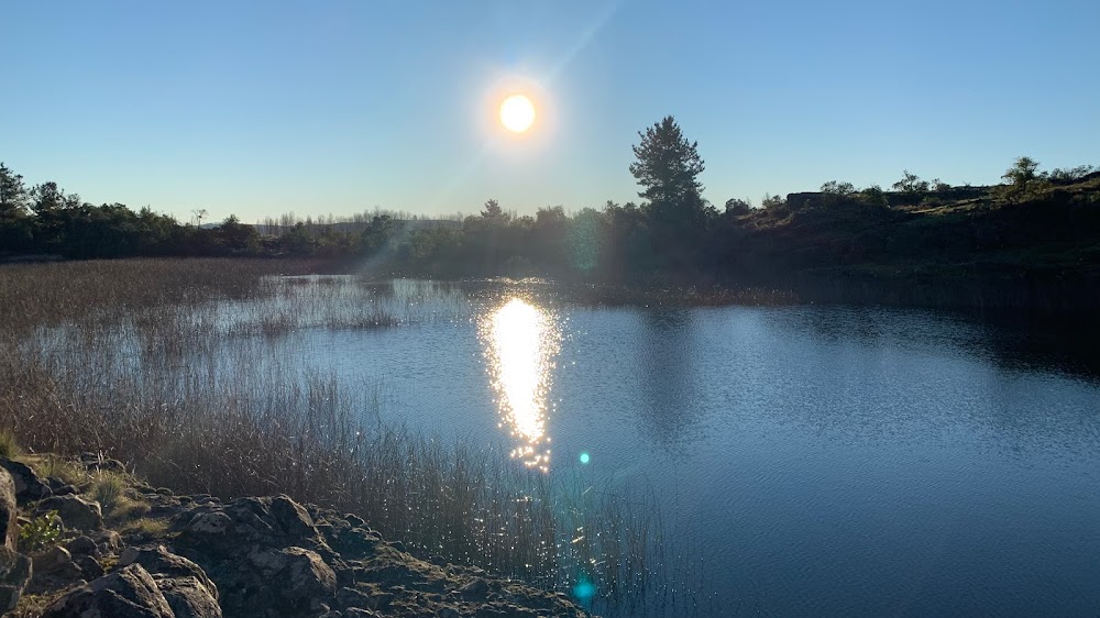 Imagen de Laguna del caballo marino