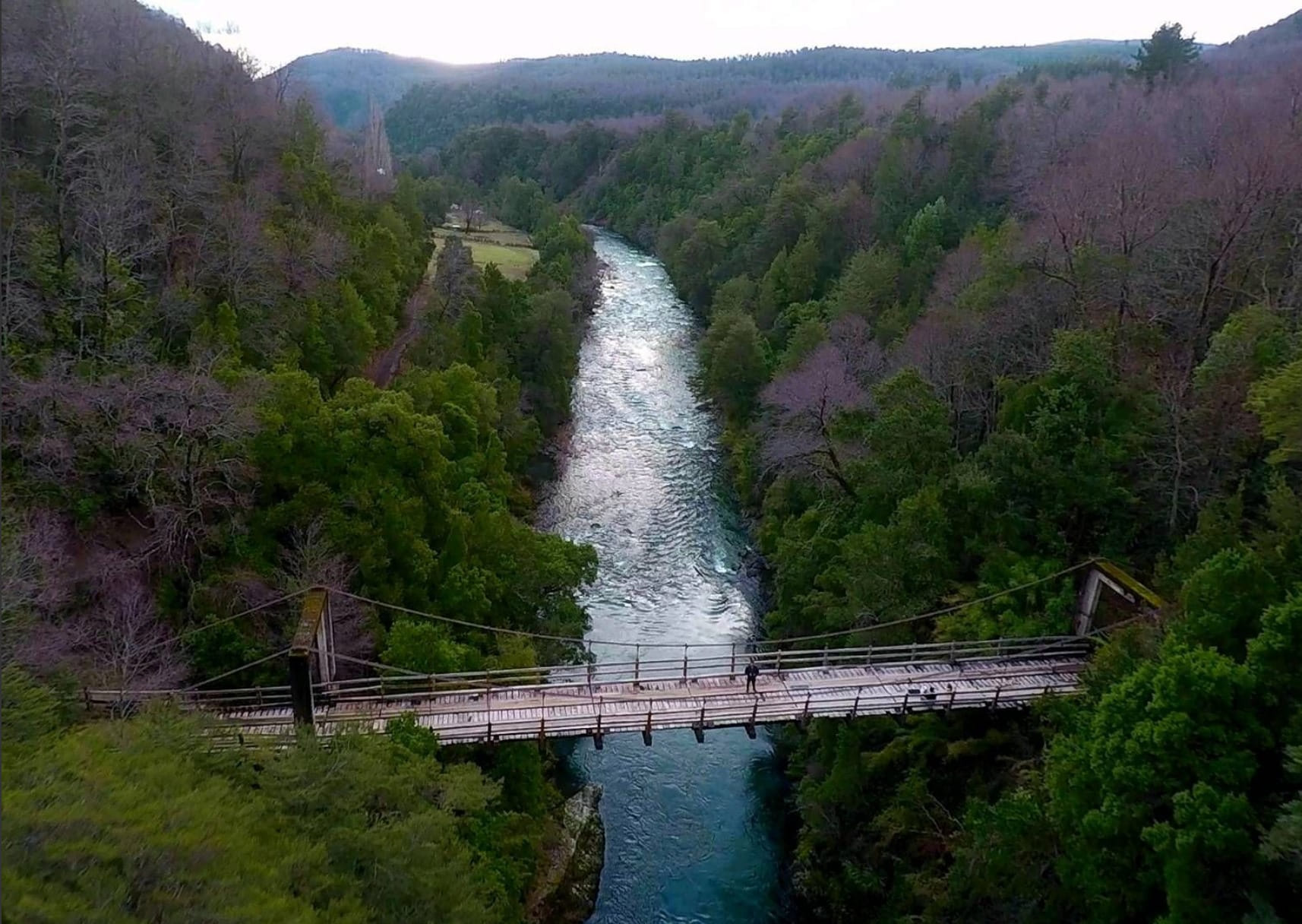 Imagen de Puente colgante